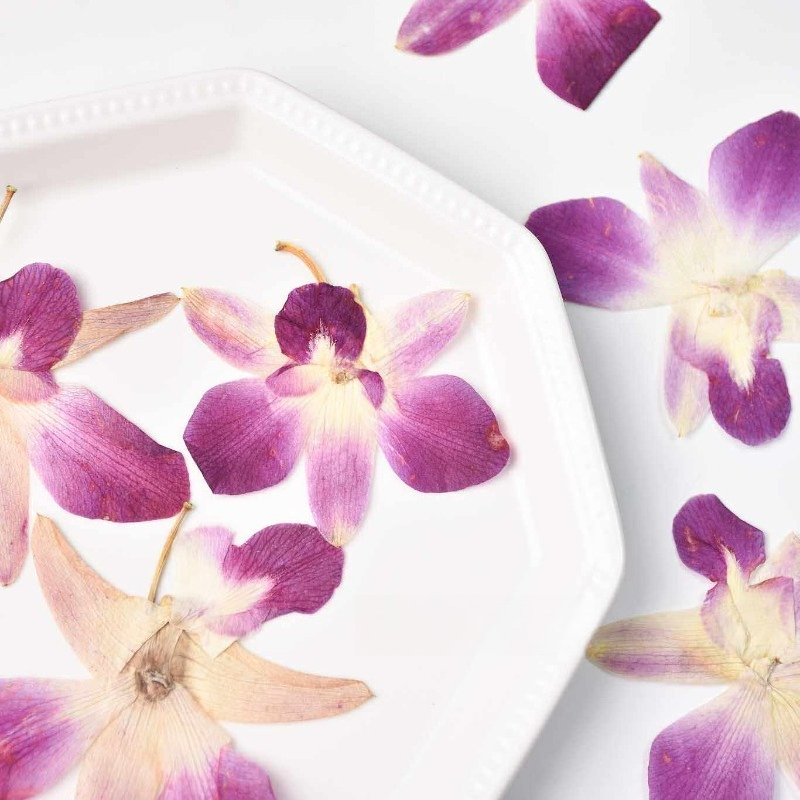4 szt., Prawdziwe, prasowane k – Resin Craft Ideas recenzja i cena