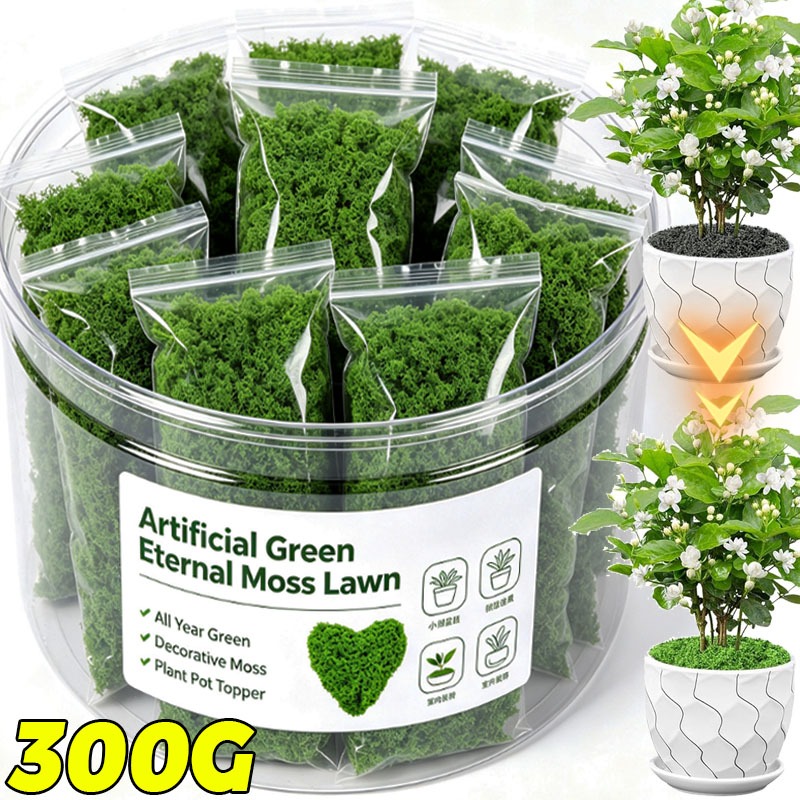 Sztuczne zielone rośliny, wiec – Terrarium Moss Art recenzja i cena